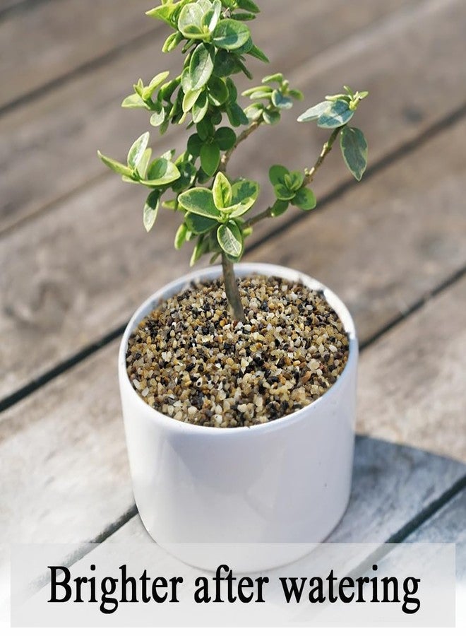 FANTIAN رمل حوض السمك من فانتيان، ٥ أرطال، حصى صغير لأحواض السمك بحجم ١/١٦ بوصة، أحجار زينة على شكل بازلاء للنباتات الهوائية، وملء المزهريات، وتنسيق الحدائق، وتغطية تربة النباتات العصارية - Image 5